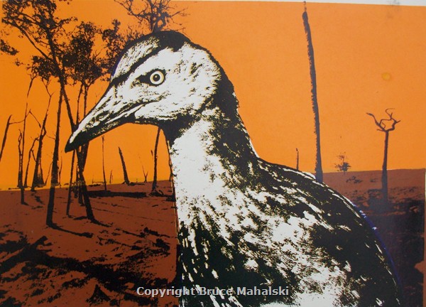 Weka Picture